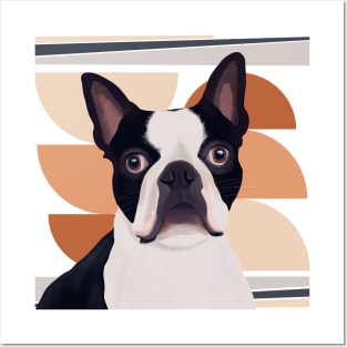 Boston Terrier Dog Posters and Art